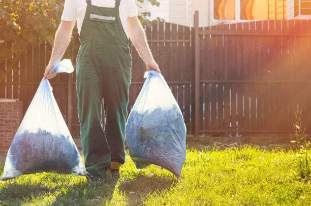 Best Residential Junk Removal  in Hampton, IL