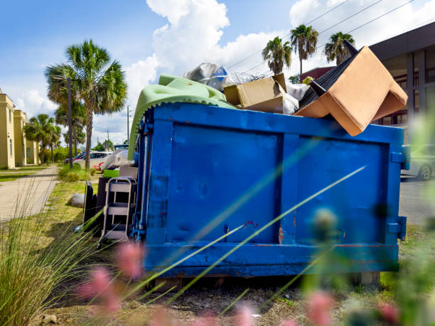 Best Dumpster Rental Services  in Hampton, IL