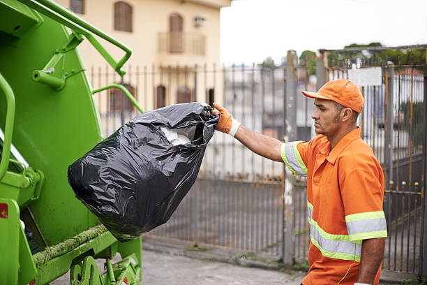 Best Construction Debris Removal  in Hampton, IL